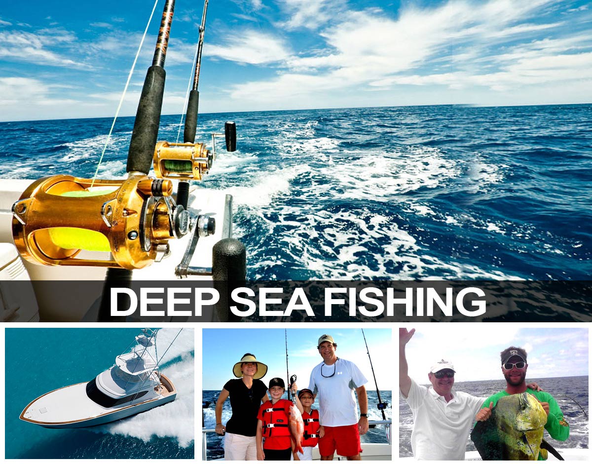 Deep Sea Fishing – Miami Beach Visitor Center