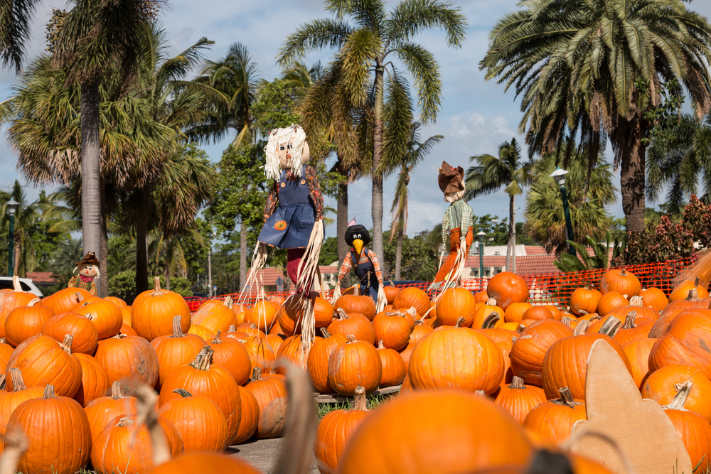 Best Things to Do in Miami in October 2018